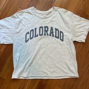 Brandy Melville short sleeve top!